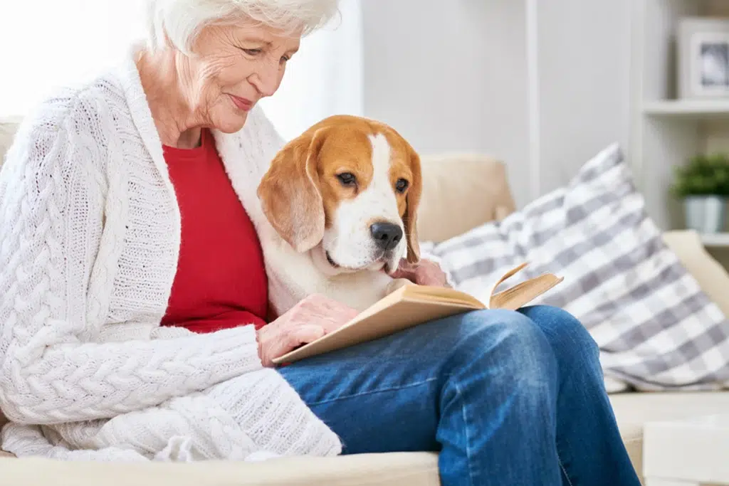Older woman sits on a couch reading a book with a beagle resting its head on her lap nearby.