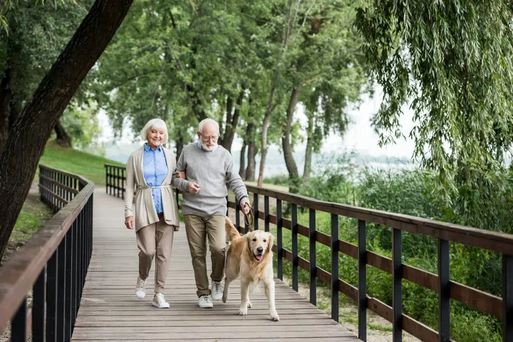 Older couple walking hand in arm with a golden retriever on a wooden park boardwalk among trees and greenery.