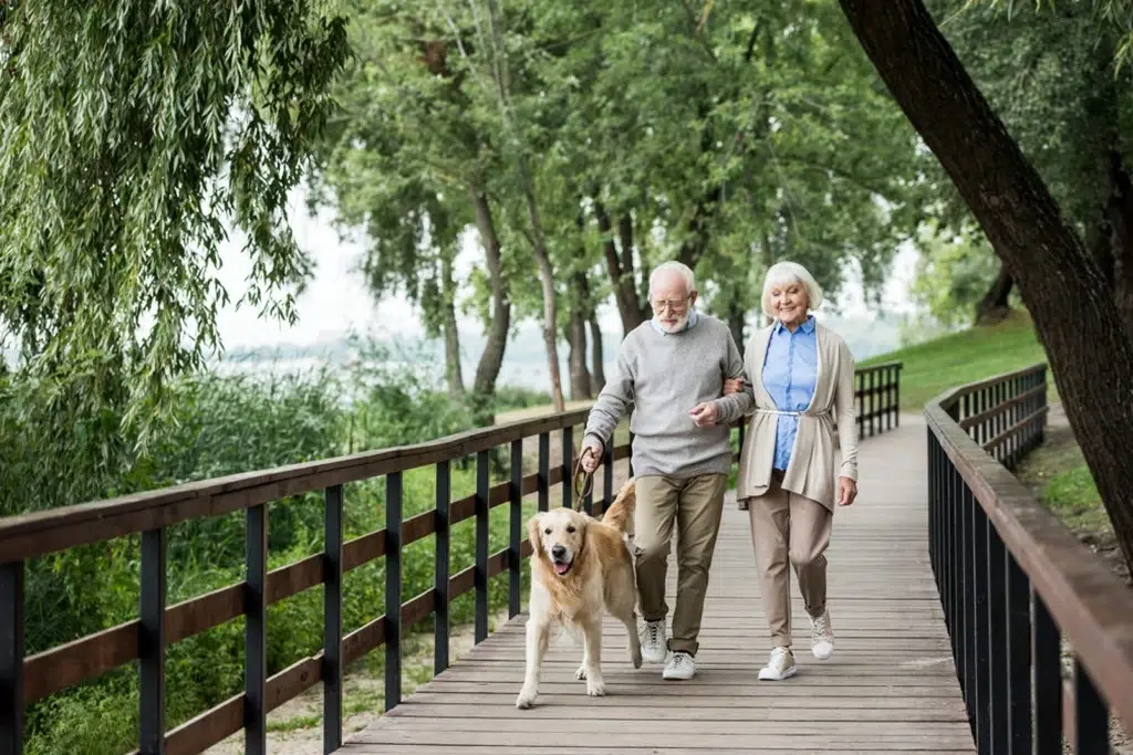 Senior couple walking their golden retriever on a wooden boardwalk through a green park.